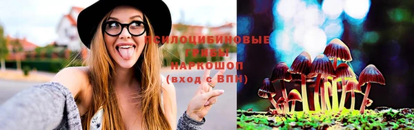 MESCALINE Покачи
