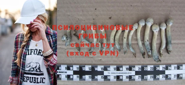 MESCALINE Покачи
