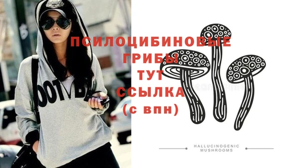 кокс Дмитриев
