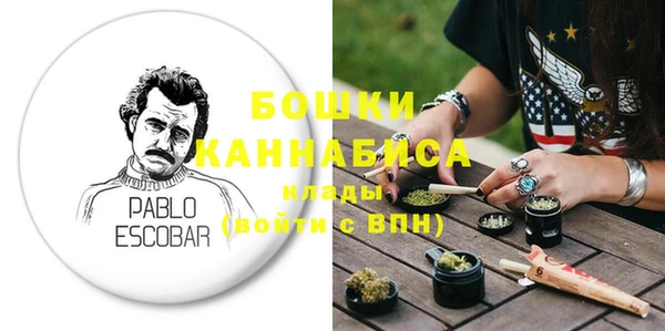 индика Елабуга